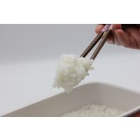 カイホウジャパン コンパクトサイズマイコン式早炊き炊飯器 ホワイト a2452610 1個（直送品）