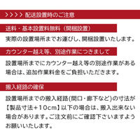 【組立設置込】 Lefier ルフィエール BASE55 コンプレッサー式ワインセラー C55SL 992995 1台（直送品）