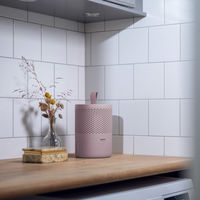 メテックス アブソドライ エコ除湿器 ピンク EBS-JPK 1箱（直送品）