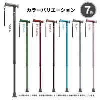 竹虎 バンブーステッキワイド ブラウン 104983 1本