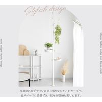 武田コーポレーション エレガント 突っ張りマルチハンガー LN-H-ETH290BK 1箱(1個入)（直送品）