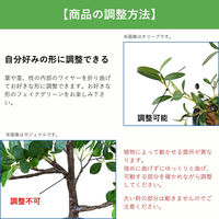 エスエスケイ 光触媒インテリアグリーン ラメリー 110cm 25091 1個（直送品）