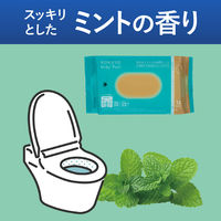 HibiFull ヒビフル 流せるトイレのお掃除シート 大判厚手 ミントの香り トイレのおそうじシート 1パック（12枚入×2個）