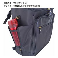 スワン SAXON cue 2way ショッピングキャリーバッグ 5233 ブラック 1個（直送品）