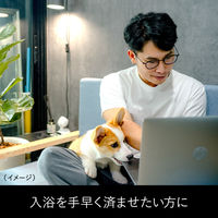 ビオレ ザ ボディ 泡で出てくるシャワーヘッド用ボディウォッシュ 24個 花王 【泡タイプ】