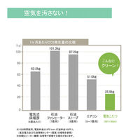 イケヒコ クレージュ 掛布団 ベージュ 205×285cm 1160270020303 1個（直送品）