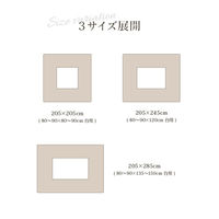 イケヒコ レイエル 掛布団 ブラウン 205×205cm 1161010060103 1個（直送品）