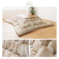 イケヒコ・コーポレーション ルシオ 掛布団 アイボリー 205×205cm 1161470140103 1個（直送品）