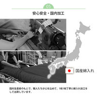 イケヒコ・コーポレーション スムース こたつ敷 ベージュ 190×190cm 1161580020809 1個（直送品）