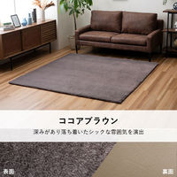 イケヒコ ファリー 無地ラグ 2400×2000mm セピアブラウン 1281280321303 1枚（直送品）