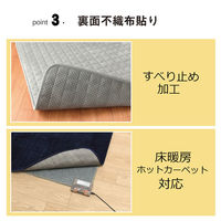 イケヒコ レイヤー キルトラグ 2400×2000mm ブラウン 1292641066401 1枚（直送品）