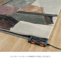 イケヒコ スピネル ウィルトンカーペット 2500×2000mm 1321600010601 1枚（直送品）