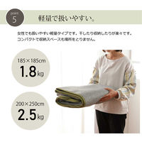 イケヒコ ノーム 柄ラグ 1850×1850mm グリーン 1380000000523 1枚（直送品）