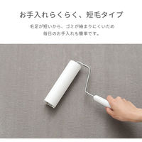 イケヒコ ピオニー2 無地ラグ 1850×1850mm パウダーブルー 1380000025940 1枚（直送品）