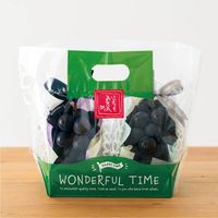 ヘッズ ワンダフルタイムＰＰスタンドＢＡＧーグリーン底板付（２０枚） WTG-OSB2 1セット(1袋(20枚入)×20)