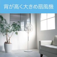 小泉成器 フロア扇風機 KLF4051W 1台