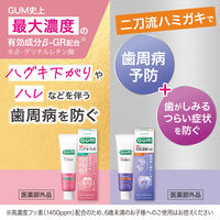 GUM（ガム）知覚過敏ラボ デンタルペースト マイルドハーブ 歯磨き粉 90g 1セット（2本） サンスター