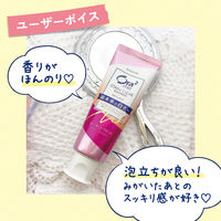 Ora2（オーラツー）ミー ステインクリアペースト ピーチリーフミント 130g 美白 歯磨き粉 1セット（3本） サンスター