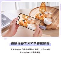 Maktar スマホに挿すだけデータ自動バックアップ Piconizer4 512GB MKP4-SG-512G 1個