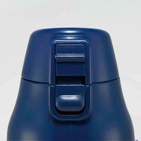 スケーター 水筒 990ml ダイレクトステンボトル キャラクター 保冷 ピーナッツコミック 438565 1個（直送品）