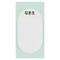 スケーター 水筒 580ml 超軽量ダイレクトボトル アナと雪の女王24 保冷専用 448197 1個（直送品）