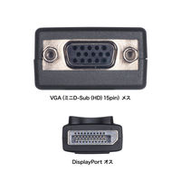 サンワサプライ  DisplayPort-VGA変換アダプタ AD-DPV06（直送品）