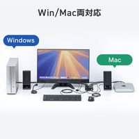 サンワサプライ  4K対応HDMIパソコン切替器（エミュレーション非搭載・手元スイッチ付き） SW-KVM2WHUUS（直送品）