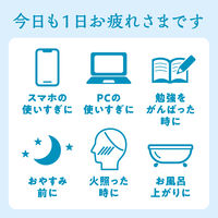 アンドグッドナイト ひんやりアイマスク1枚（ミントラベンダー）1セット（1個×2） グローバルプロダクトプランニング