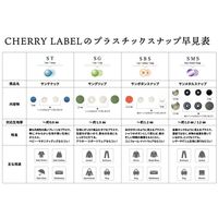 カジテック CHERRY LABEL SUN GRIP プラスチックスナップ 13mm 12組入 黒 SG-580 1袋