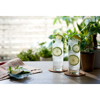 ライクイット 製氷皿 クラッシュアイス 俺のクラッシュアイスメーカー ブラック STK-07 日本製 1個