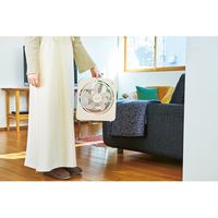 アピックスインターナショナル アピックス 2電源スリムファン AFSー125 AFS-125(WH) 1台