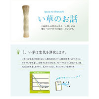 イケヒコ レンガ い草ラグ 2500×1910mm ブラウン 1050410063904 1枚（直送品）