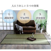 イケヒコ 沖縄ビーグ い草ラグ 1910×1910mm カーキ 1050681313604 1枚（直送品）