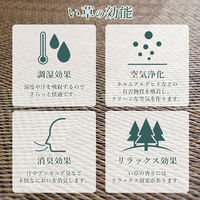 イケヒコ ノア 花ござ 江戸間3畳 2610×1740mm ブラック 1080380030302 1枚（直送品）