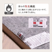 イケヒコ ノア 花ござ 江戸間3畳 2610×1740mm ブラック 1080390030302 1枚（直送品）