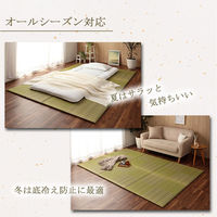 イケヒコ 清明 置き畳 820×820mm グリーン 1110130120208 1枚（直送品）