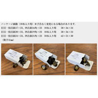 錺技研　アンティークスタイル　四方鋲　鉄亜鉛黒　１６角×２３mm　1箱(10本入)（直送品）