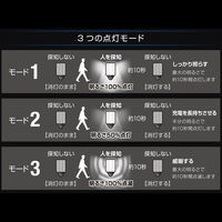 大進 センサーライト ソーラータイプ 屋外用 1灯式 1セット（1台×2）（直送品）