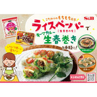 菜館 ライスペーパー 100ｇ（約10枚） 3個 エスビー食品 生春巻き