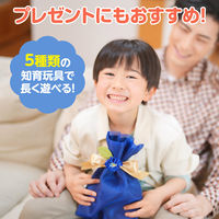 アーテック 言語教育5点セット 21649 1セット