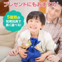 アーテック 文化教育5点セット 21659 1セット