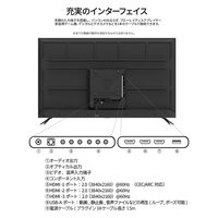 【設置込】JAPANNEXT 55インチ4K液晶モニター 純正スタンドセット JN-HDR553IPS4KJRF-KUMI 1セット（直送品）