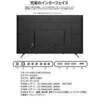 JAPANNEXT 65インチ ワイド 4K液晶ディスプレイ JN-HDR650IPSUHD 1台（直送品）