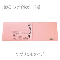 プラス 背幅伸縮セノバスエコノミーA5E FL042SH PK 88458 1冊（直送品）