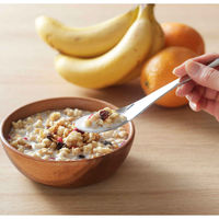 下村企販 レンゲスプーン 18cm ステンレス 5本組 436328 1個（直送品）