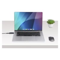 USB-C電流電圧チェッカー　双方向　240W PD　DP Altモード対応（直送品）