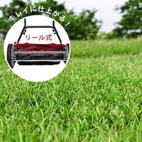 ミナト電機工業 静音型 手押し芝刈り機 LMA-460PRO 1個（直送品）