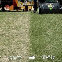 ミナト電機工業 芝生専用 手押し式スイーパー SWP-530A 1個（直送品）