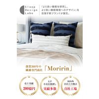 モリリン 洗える除湿パッド シングルサイズ S1025SE2 1枚