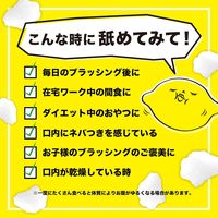 【大容量】キシリブロック オクチレモン 22g×3パック オクチのキャンディー 歯磨き後に食べられる ビタットジャパン